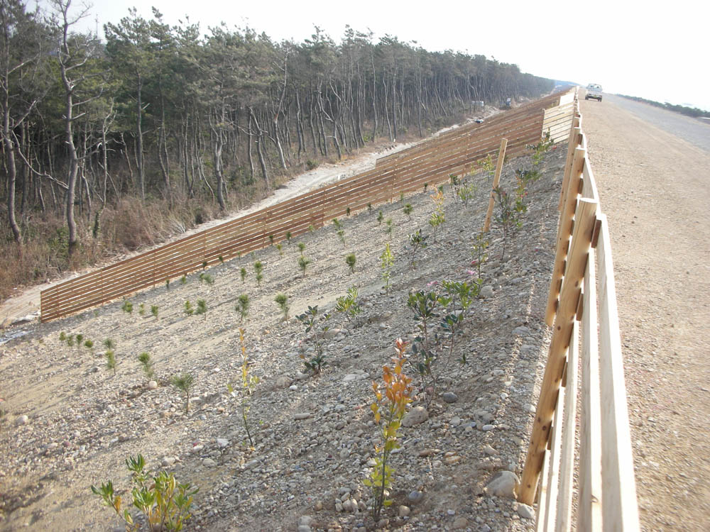 浜松市沿岸域津波対策施設等整備事業植栽工事