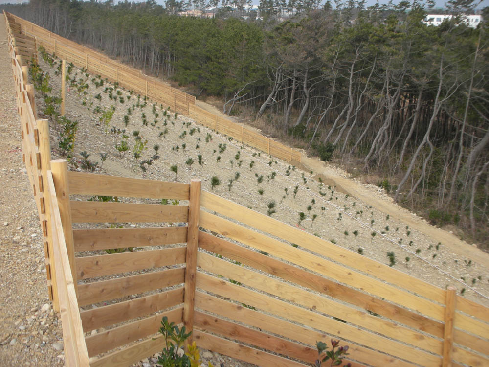 浜松市沿岸域津波対策施設等整備事業植栽工事