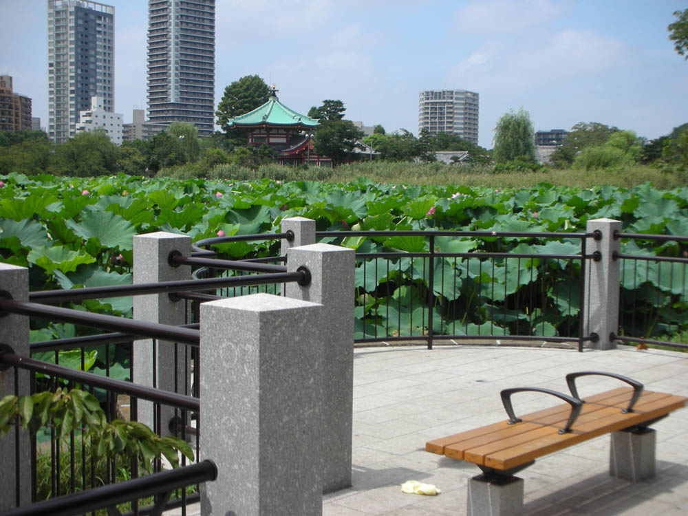 上野恩賜公園不忍池周辺再生整備工事