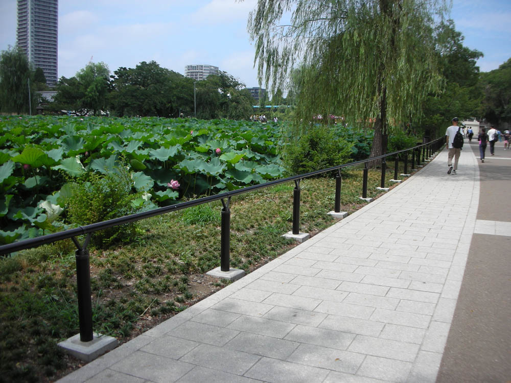 上野恩賜公園不忍池周辺再生整備工事