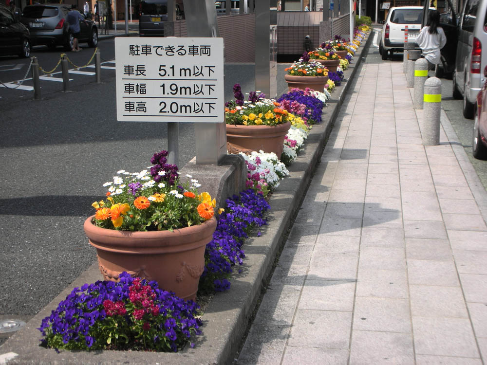 花壇フラワーポット維持管理