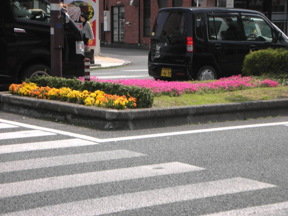 花壇フラワーポット維持管理