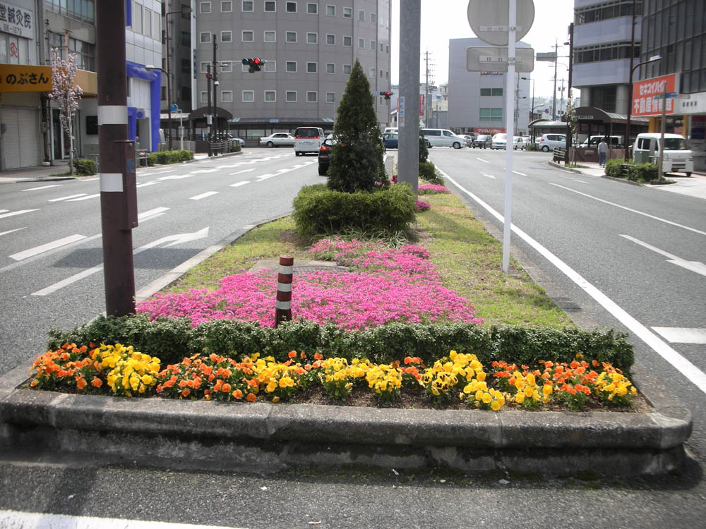 花壇フラワーポット維持管理