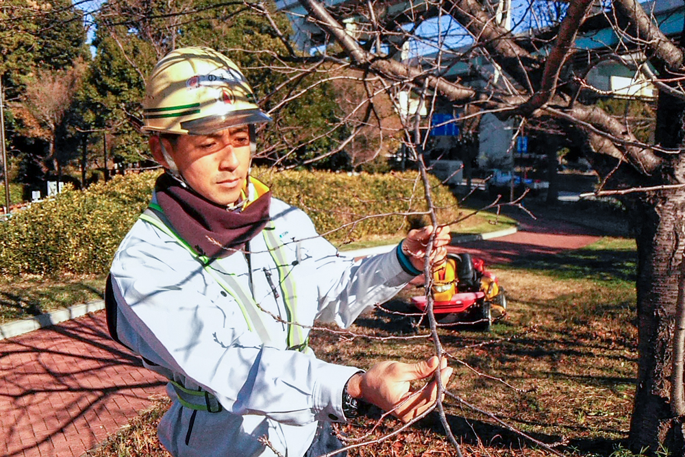 野牧 匠